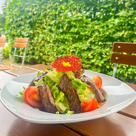 Hotel Und Restaurant Nehrener Hof Nehren (Baden-Wurttemberg)